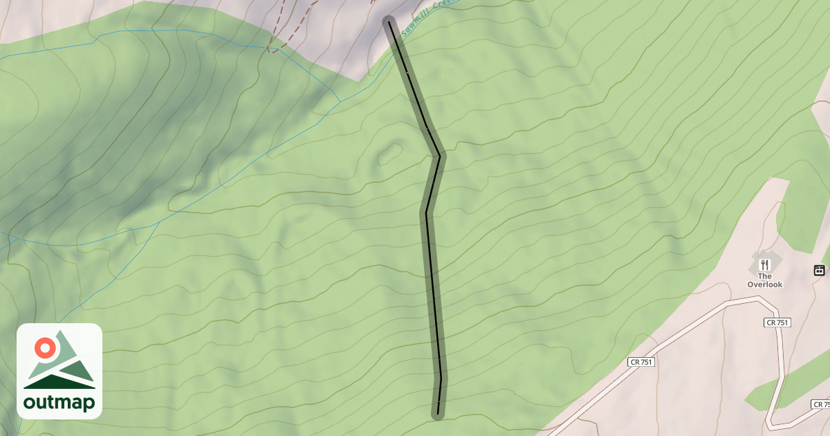 Map of Toms Baby