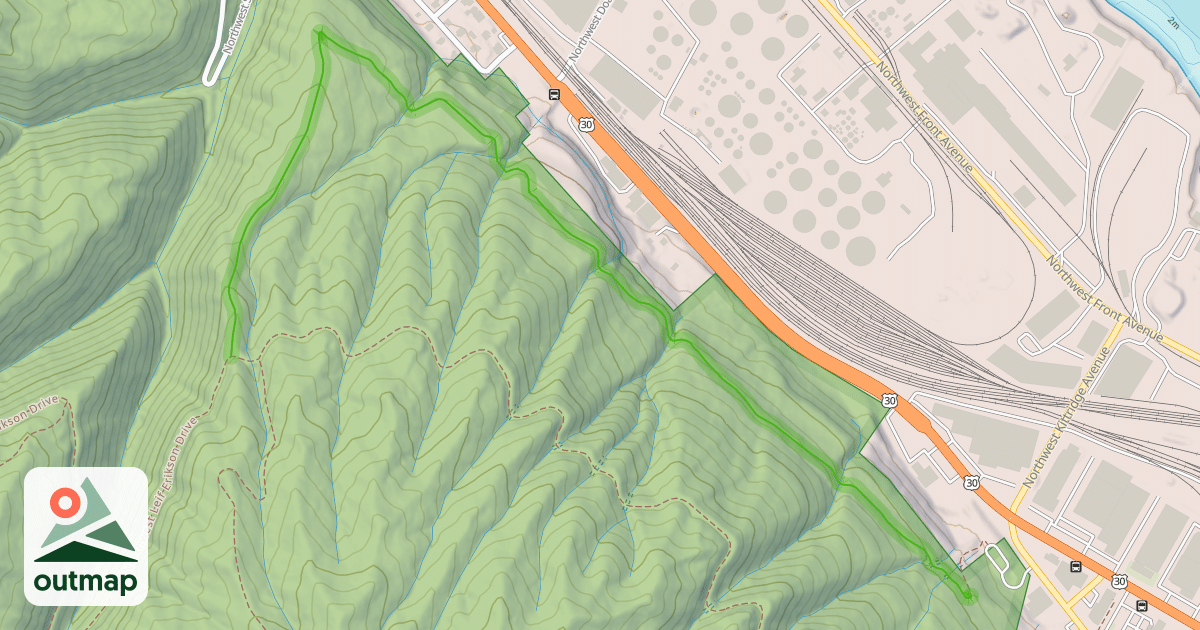 Map of Northwest Firelane 1 Road