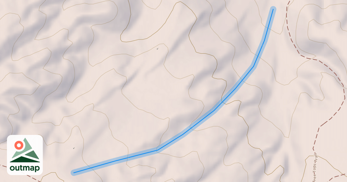 Map of Bucky's