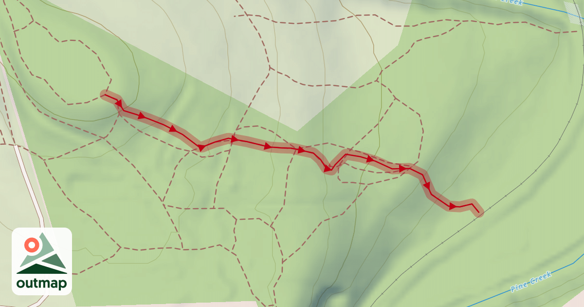 Map of (MTB 5 downhill)