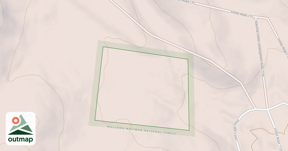 Map of USFS National Forest System Roads {06929F91-2883-42EB-910F-67A06F5C3A7F}