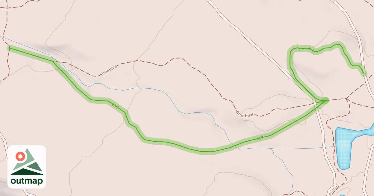 Map of LST