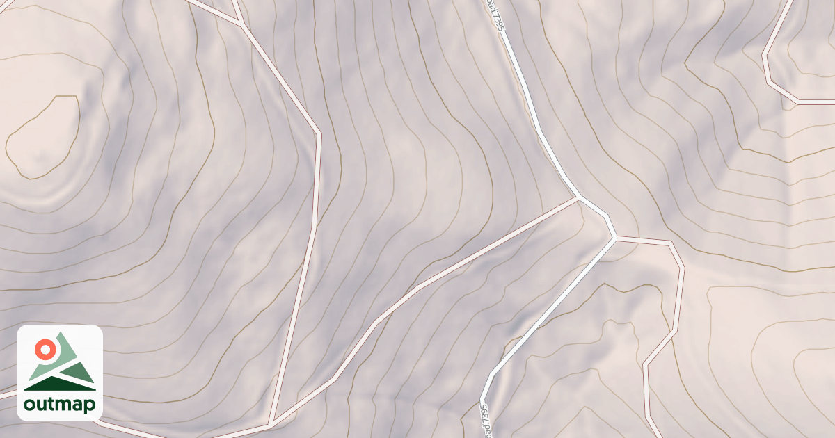 Map of USFS National Forest System Roads {252D9CCA-F8AA-4DC3-A93E-683F97F3C048}