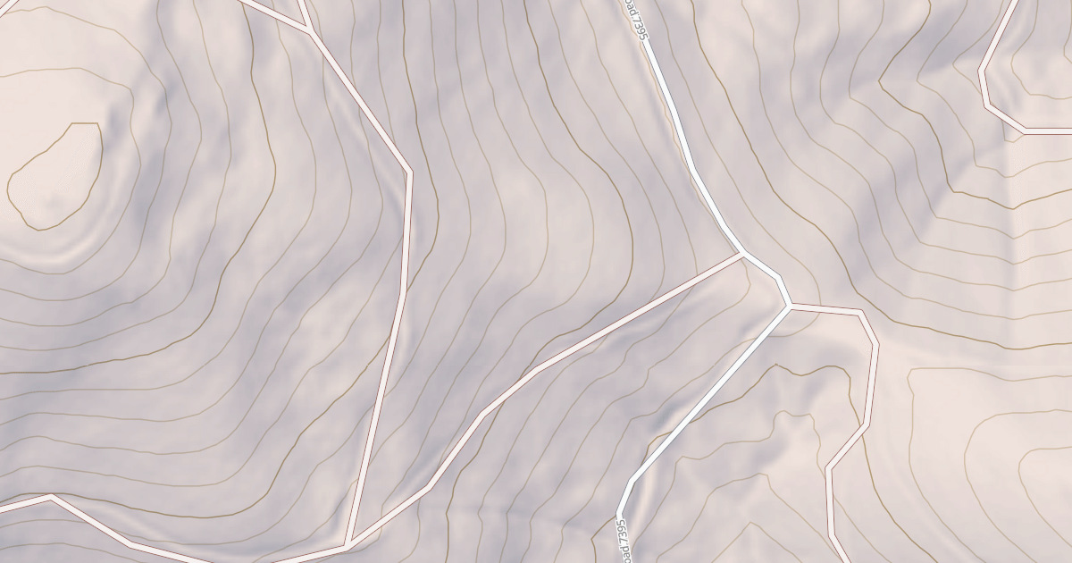 Map preview of USFS National Forest System Roads {252D9CCA-F8AA-4DC3-A93E-683F97F3C048}