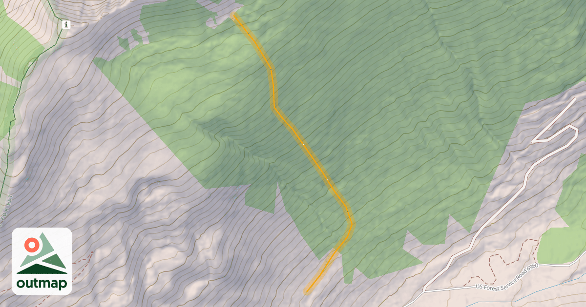 Map of Out of Bounds Woods