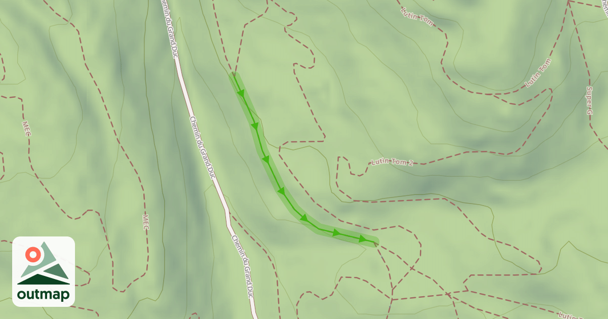 Map of 21
