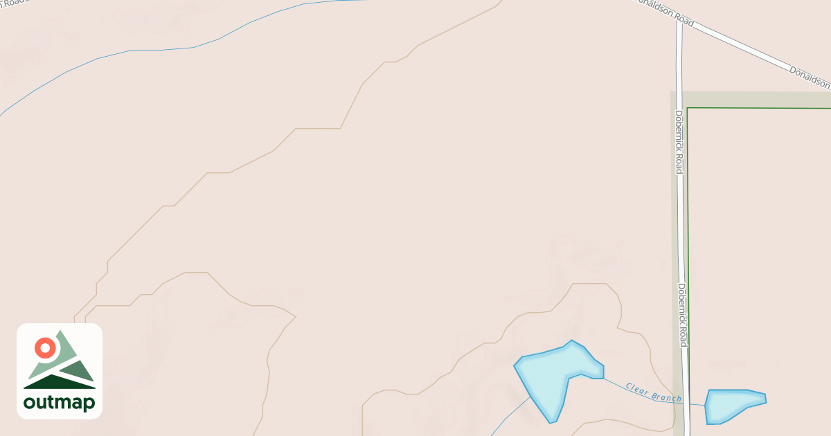 Map of 1981