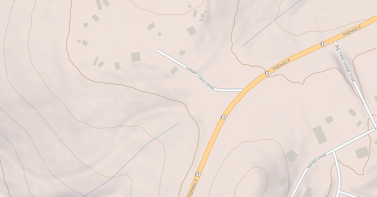 Map preview of USFS Motor Vehicle Use Map Roads {DD9305EA-72C9-425F-9555-8C25E605A152}