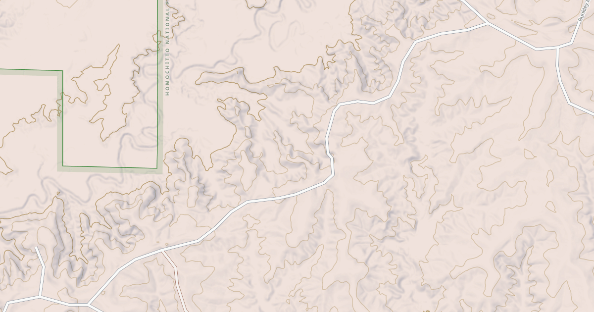 Map preview of USFS National Forest System Roads {C1ACA921-329D-406E-9497-4AD2D1DB4470}