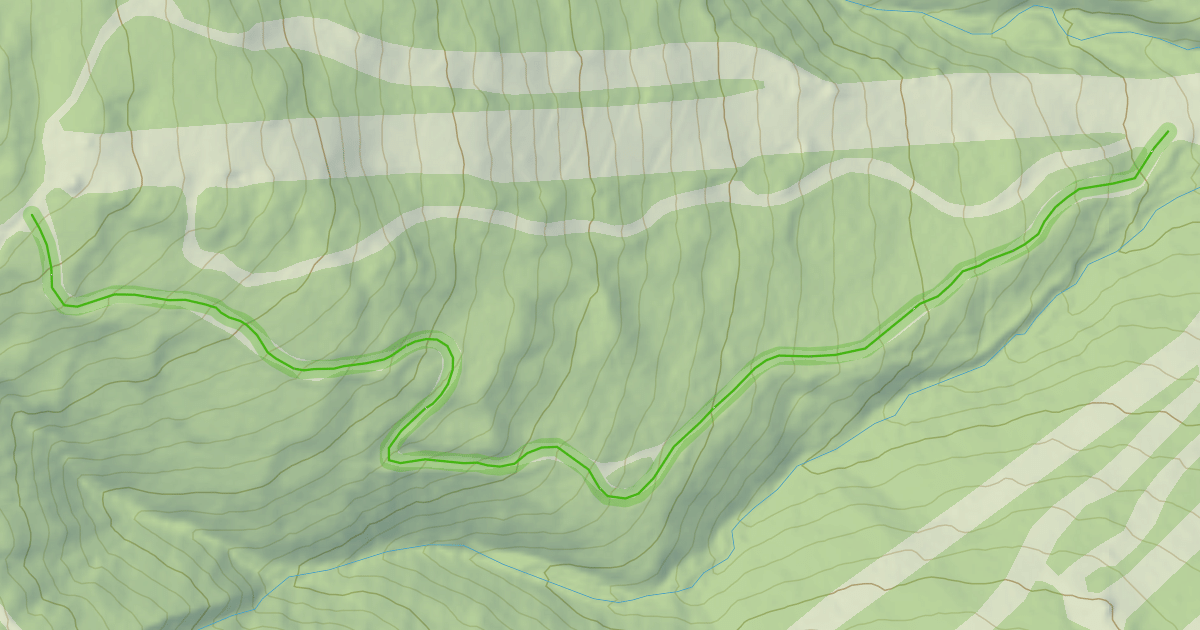 Map preview of Walt's Trail