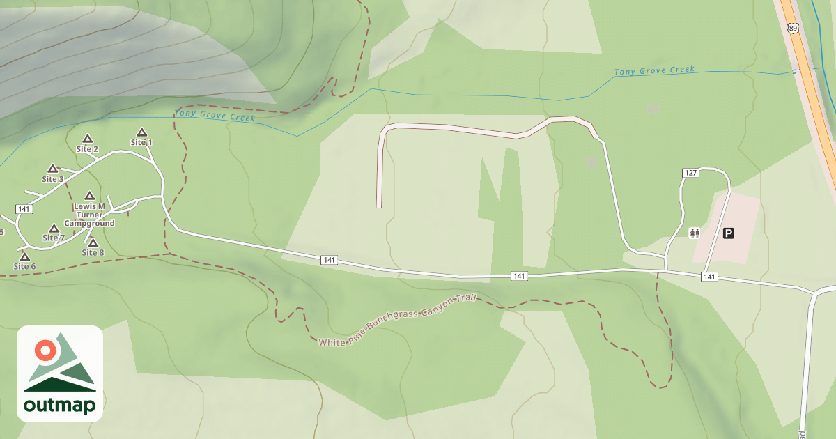 Map of LEWIS M TURNER C.G.