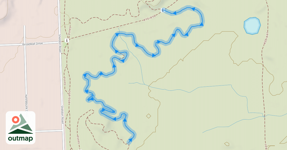 Map of Pines