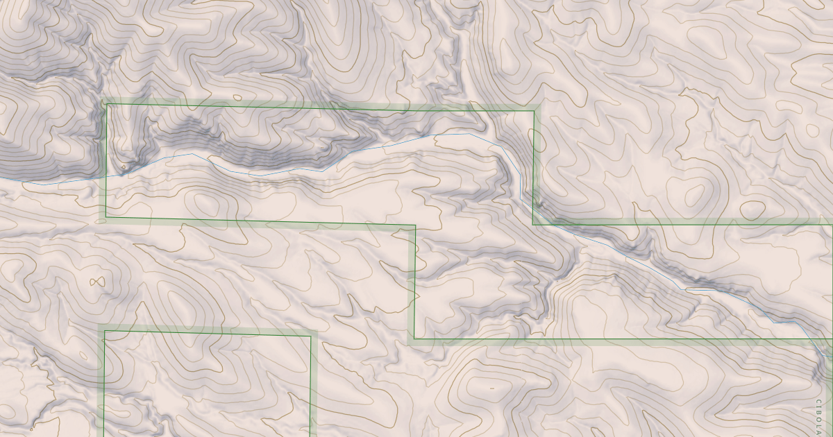 Map preview of USFS Motor Vehicle Use Map Roads {BE9C716C-8ECF-45B4-8F1A-EAC933BF312B}