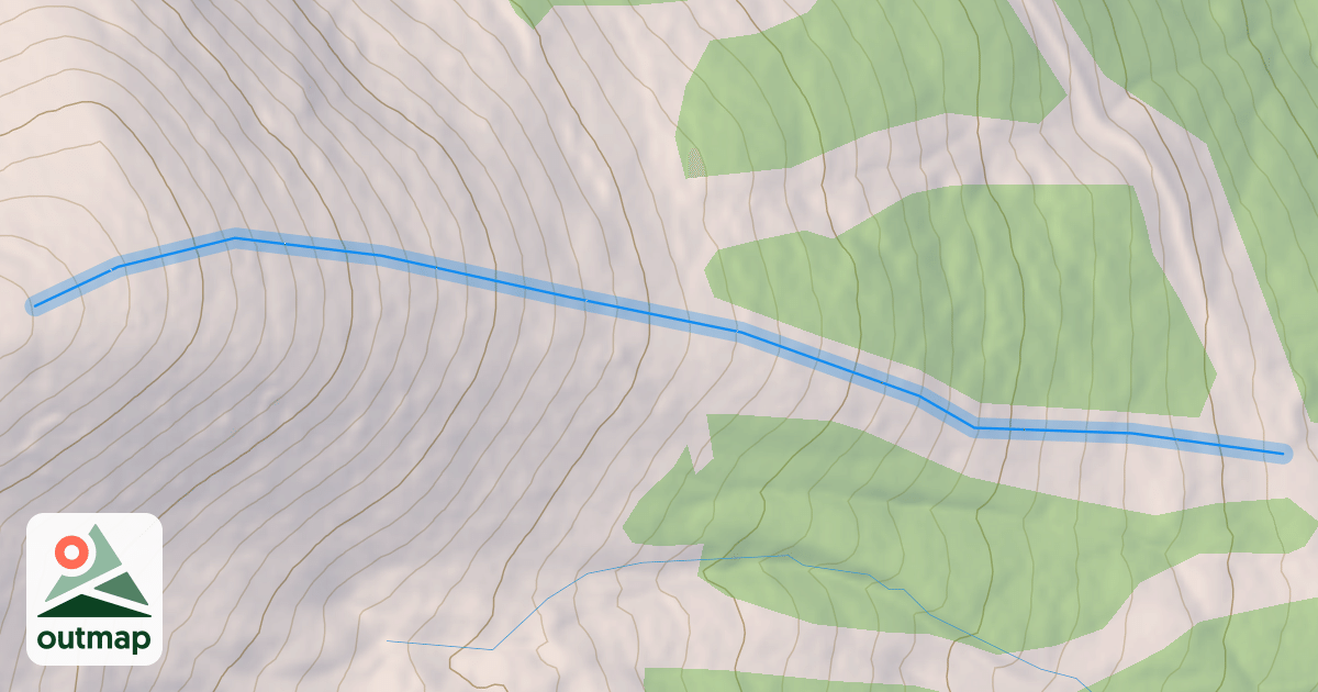 Map of Reverie