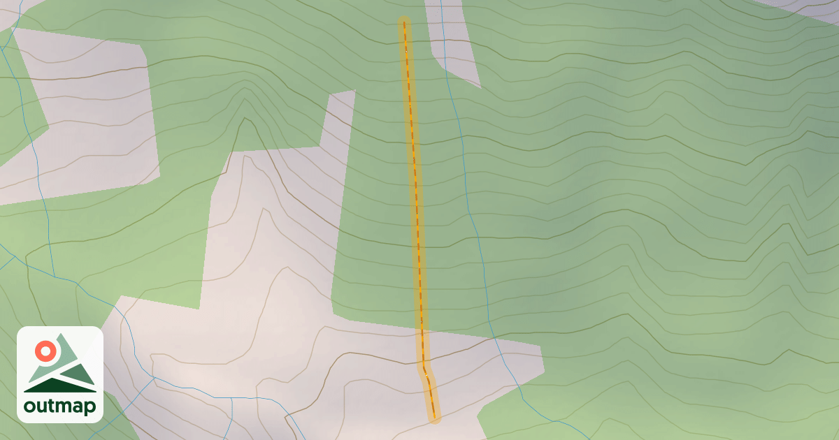 Map of Cedar