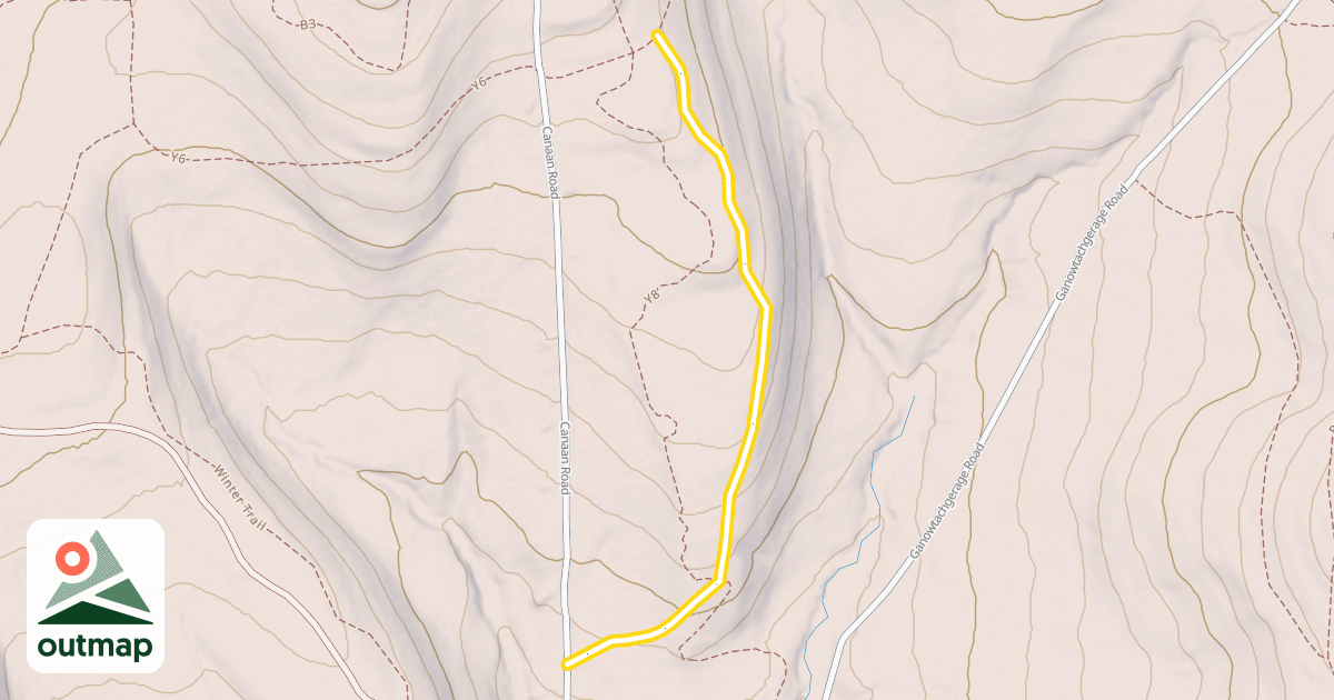 Map of Y7