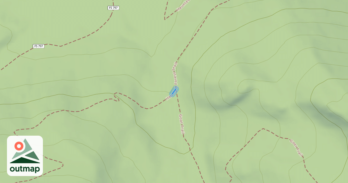 Map of Haunted Forest Trail