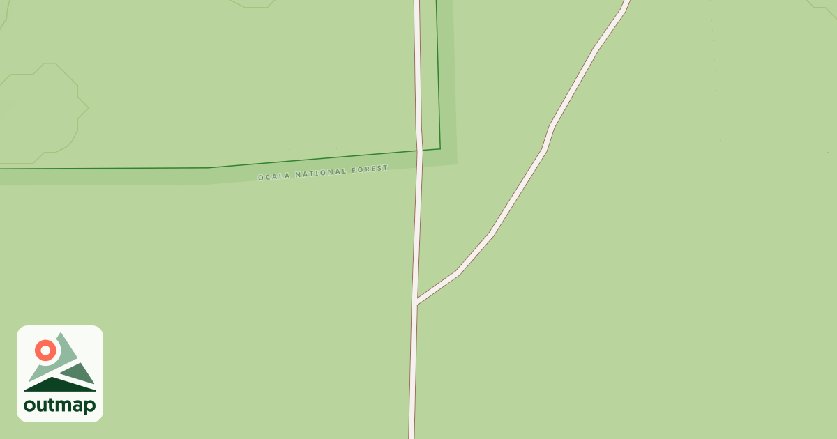 Map of USFS National Forest System Roads {BC9BDCAE-3F7A-43AE-97D6-128AF666CF37}