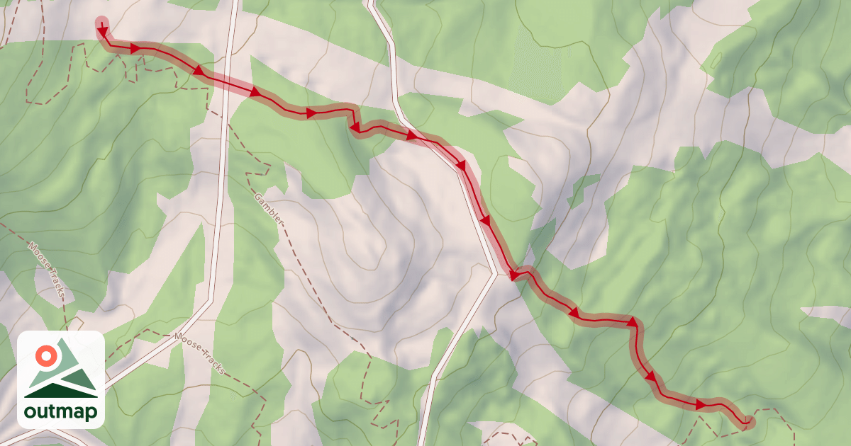 Map of Yogis