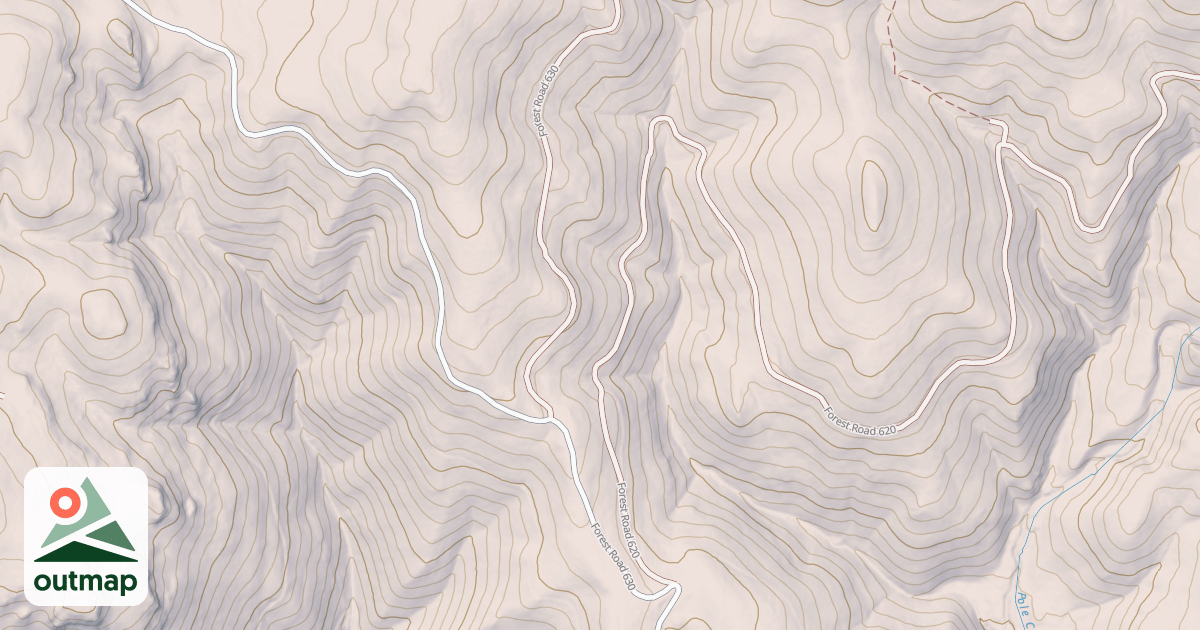 Map of USFS National Forest System Roads {8982B5BE-D559-4EAC-9905-86B0D375690E}