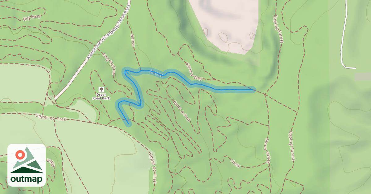 Map of Bones