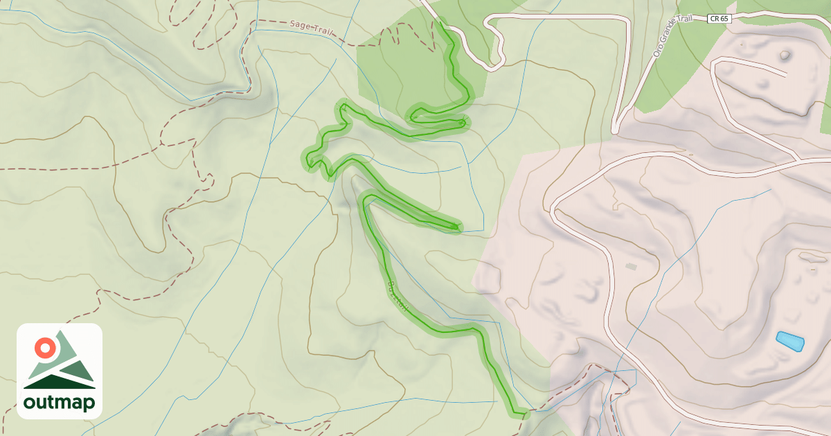 Map of Buzztail