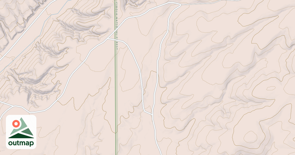 Map of USFS National Forest System Roads {B1801DD9-3D50-4C68-A7AD-586408D0553A}