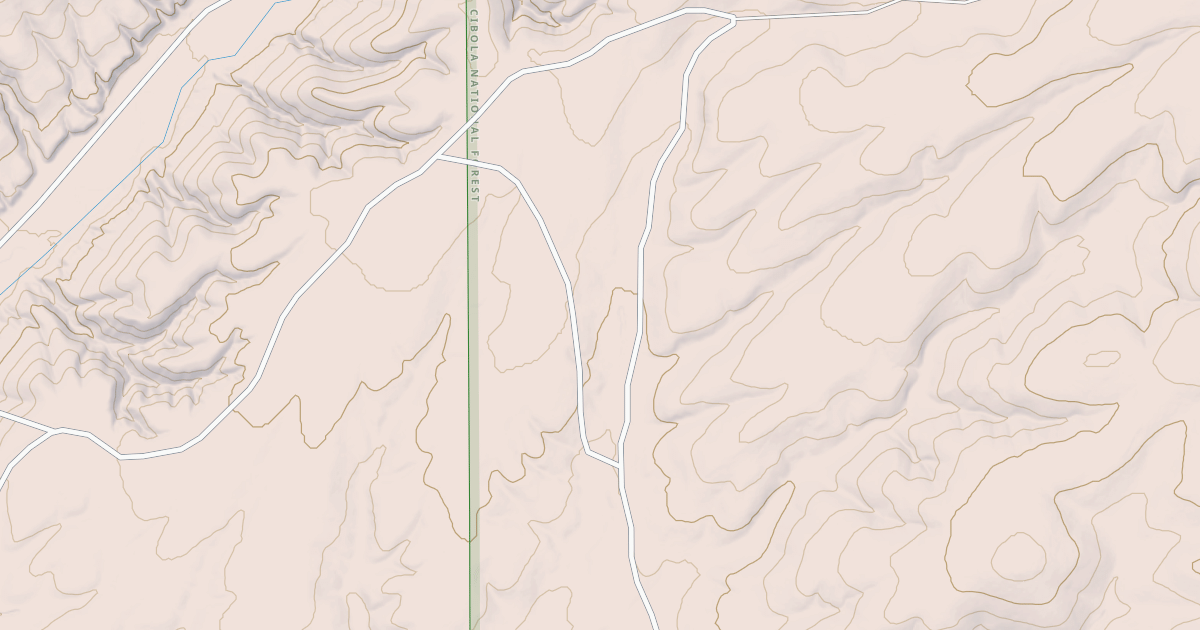 Map preview of USFS National Forest System Roads {B1801DD9-3D50-4C68-A7AD-586408D0553A}