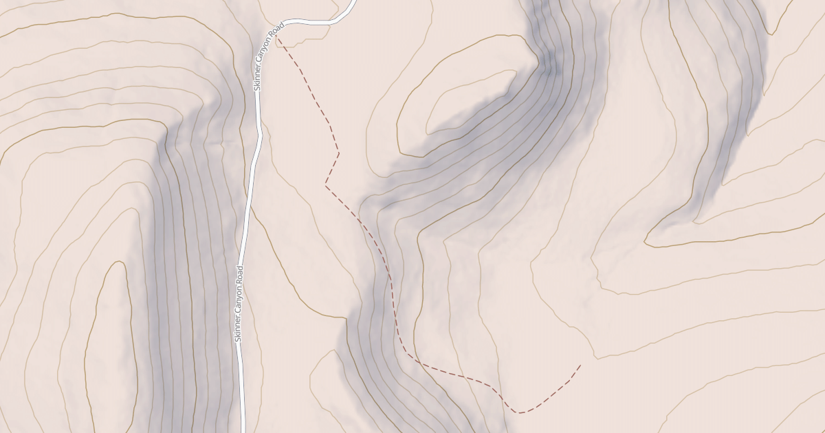 Map preview of SKINNER SPRING