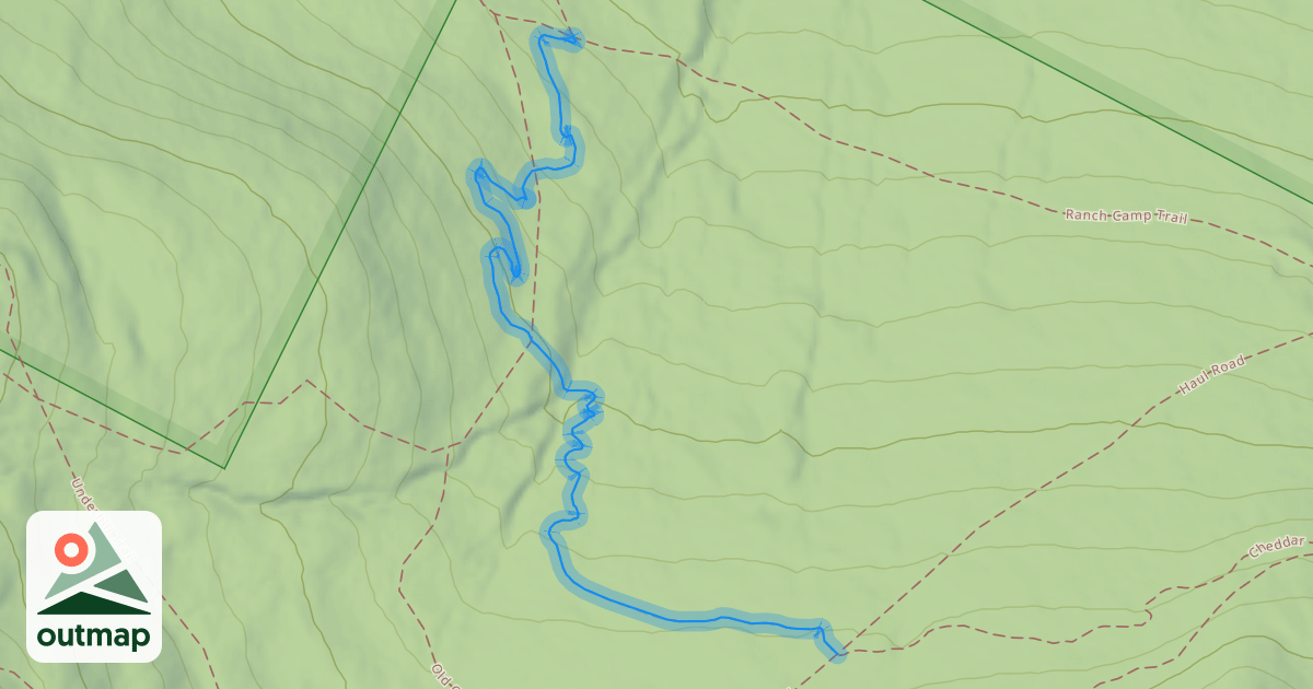 Map of Shredder