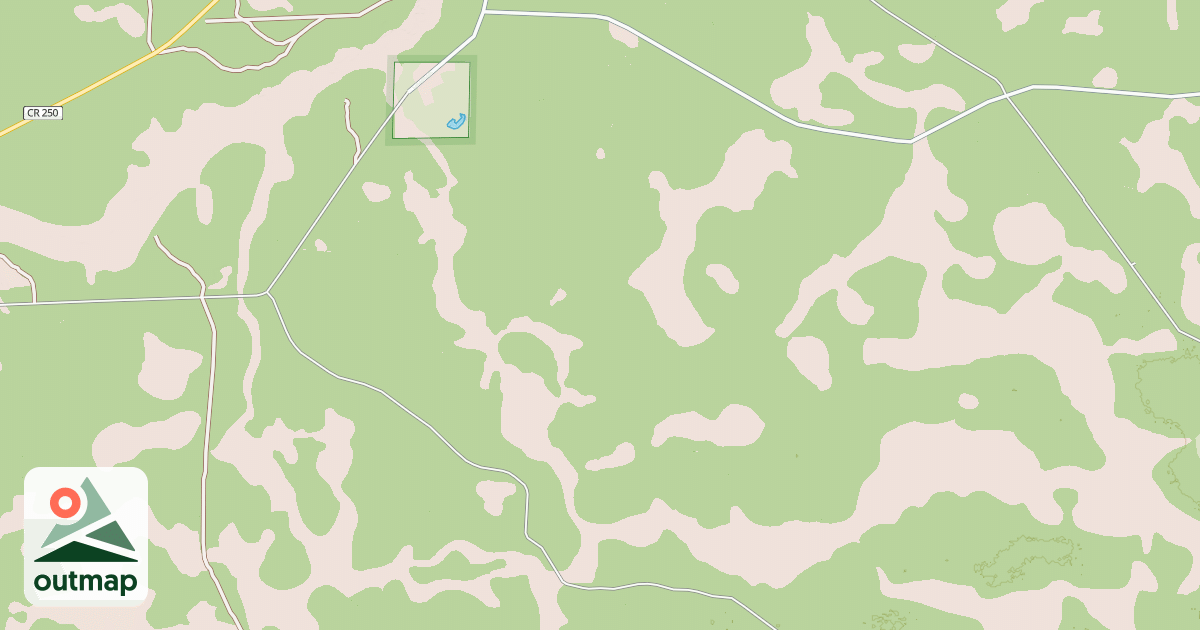 Map of USFS National Forest System Roads {B4F45B71-CCD6-4164-8C1A-FB92D0E66935}