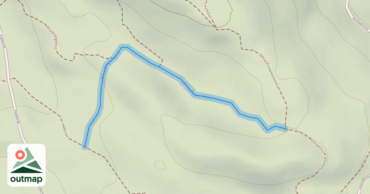 Map of Blowdown Alley
