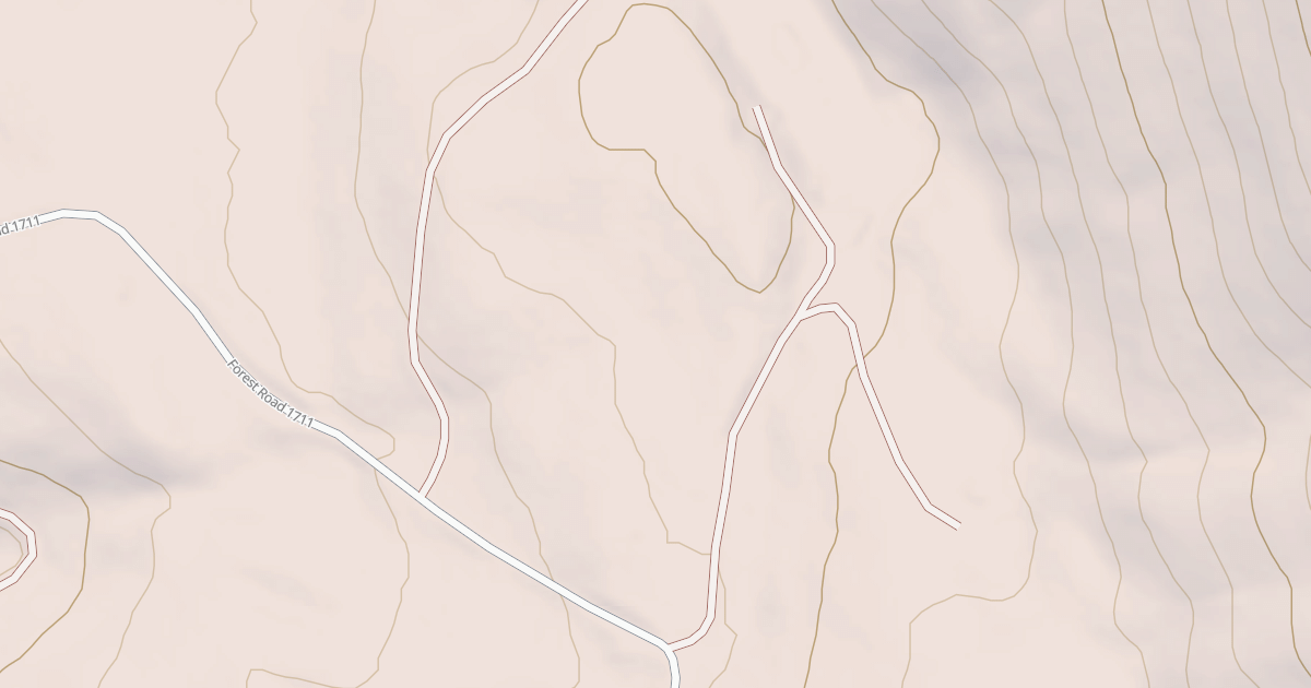 Map preview of USFS National Forest System Roads {A72FE90C-3EFC-443C-8236-D37620B1F836}