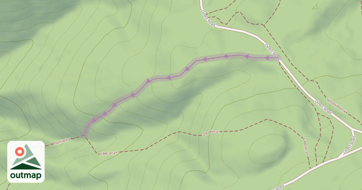Map of Fool's Gold