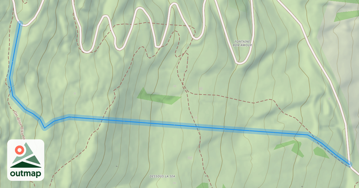 Map of Bon Amour