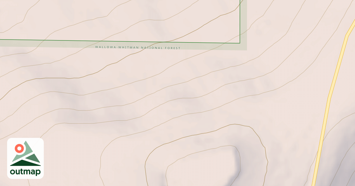 Map of USFS National Forest System Roads {398DC198-44A2-4F0F-8ED6-946EC866BB05}