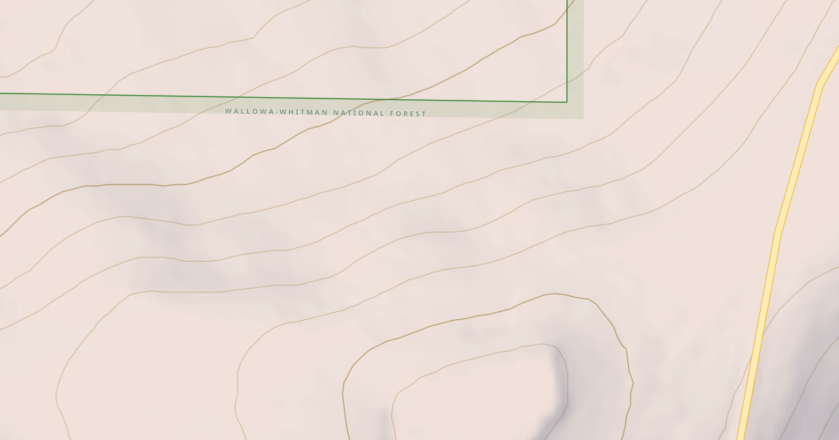 Map preview of USFS National Forest System Roads {398DC198-44A2-4F0F-8ED6-946EC866BB05}