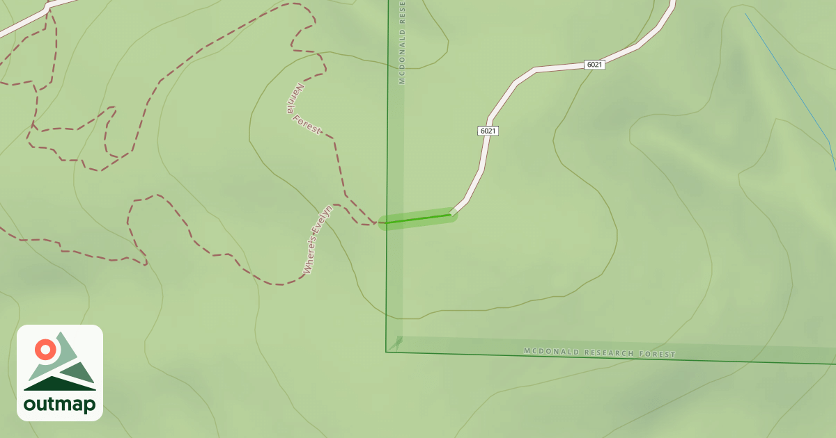 Map of Narnia's Forest