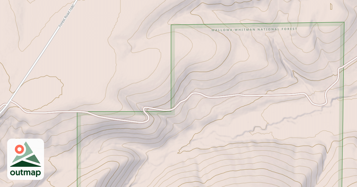 Map of USFS National Forest System Roads {6CE033ED-BFDA-435E-A934-D34FD82D7B1F}