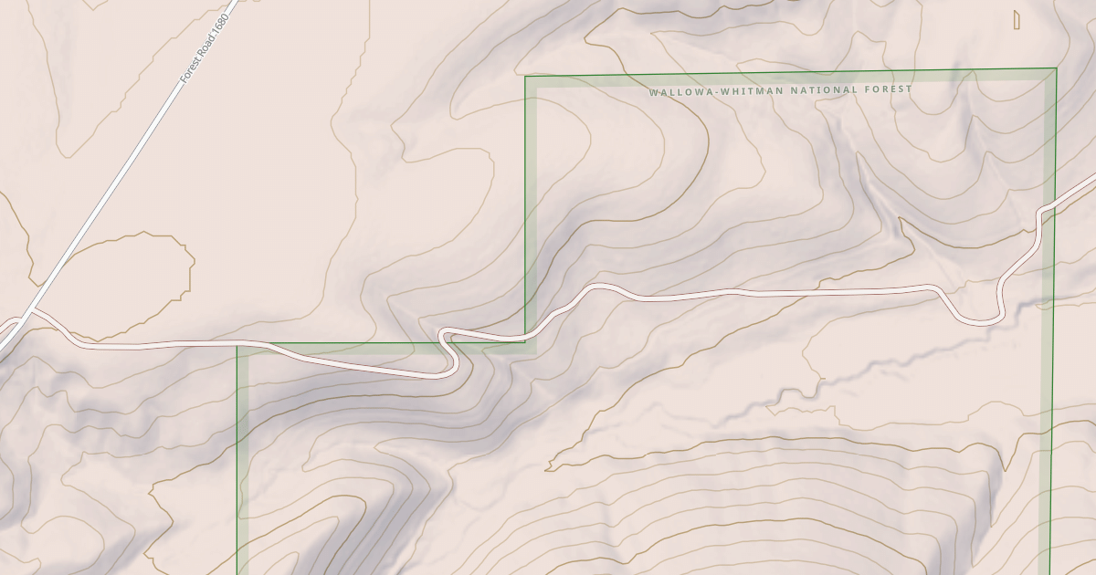 Map preview of USFS National Forest System Roads {6CE033ED-BFDA-435E-A934-D34FD82D7B1F}