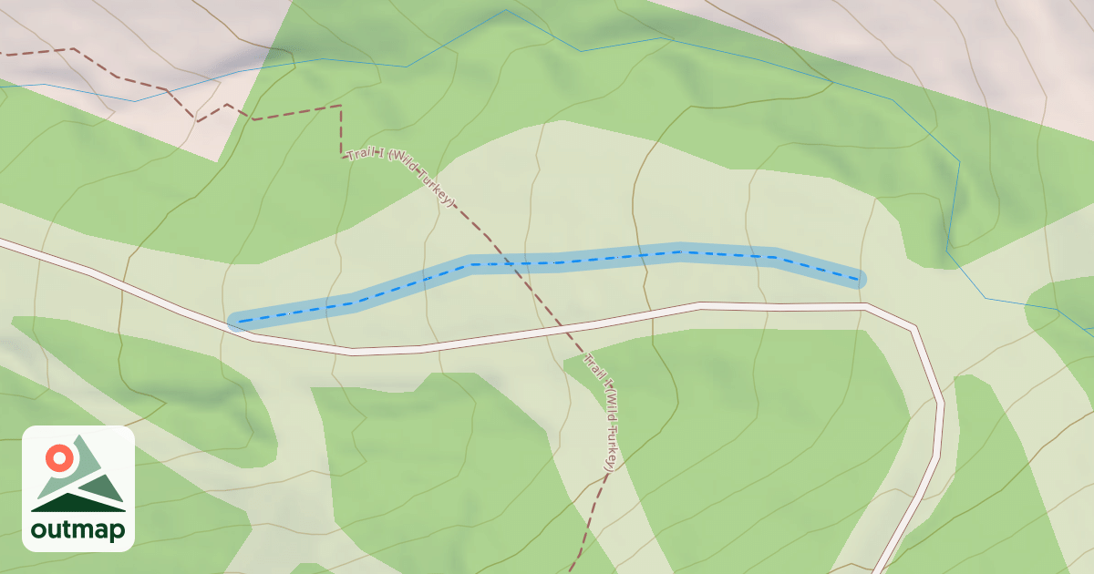 Map of Hot Wheels Glade