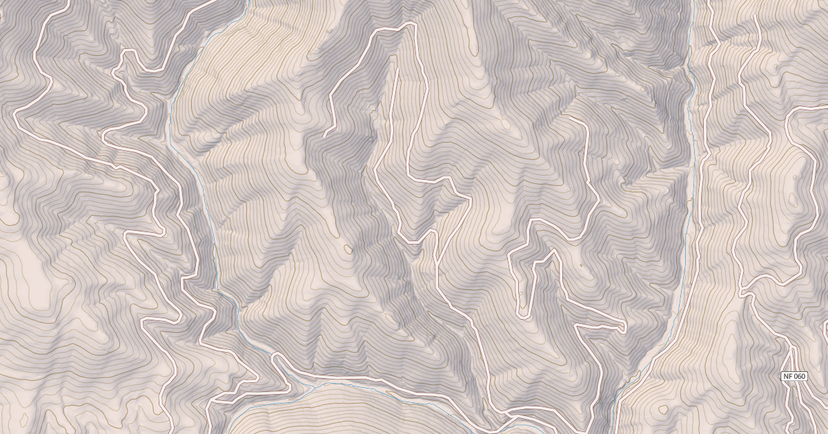 Map preview of USFS National Forest System Roads {4CDB5631-44DC-49B4-BC95-DEEFC28D83ED}