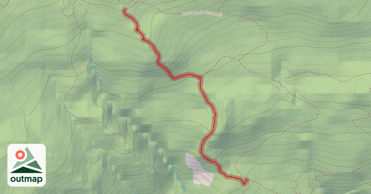 Map of Pigs on the Wing