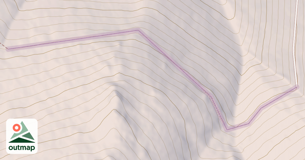 Map of Valley Creek 1300 section of heavey alder