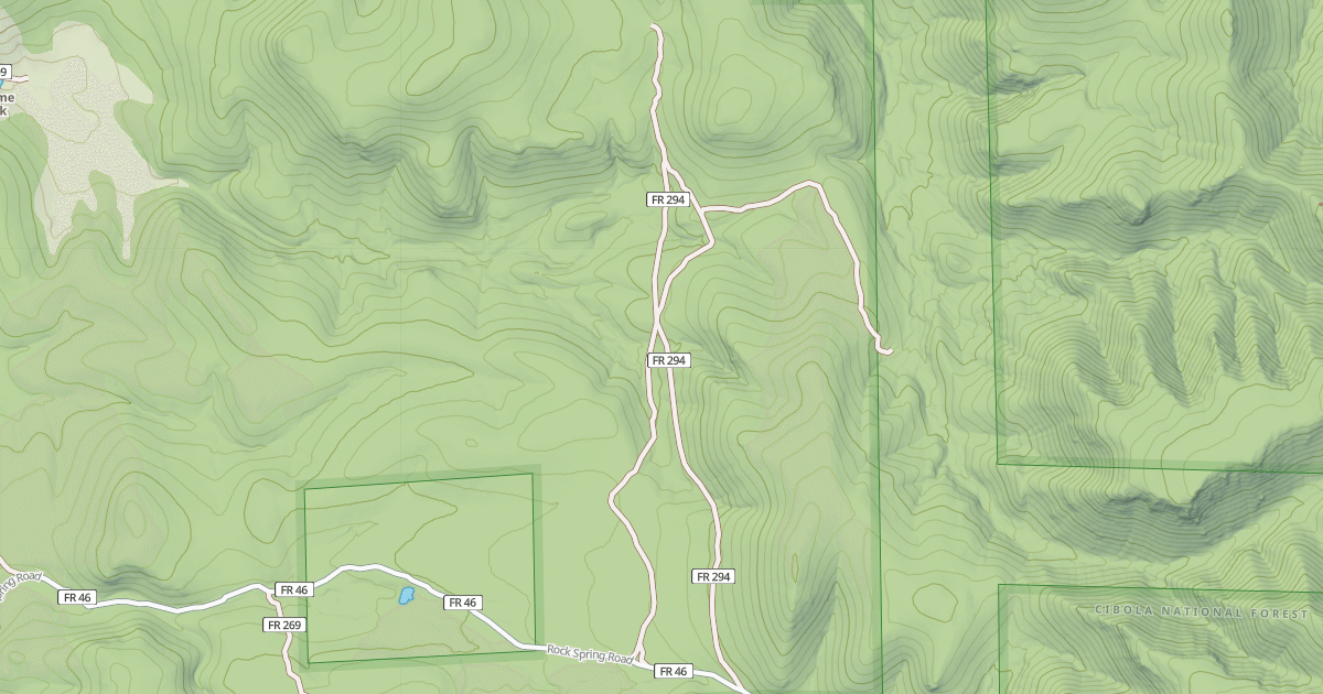 Map preview of USFS National Forest System Roads {23FA7799-9C4A-4ACC-9257-AC339596C3EC}