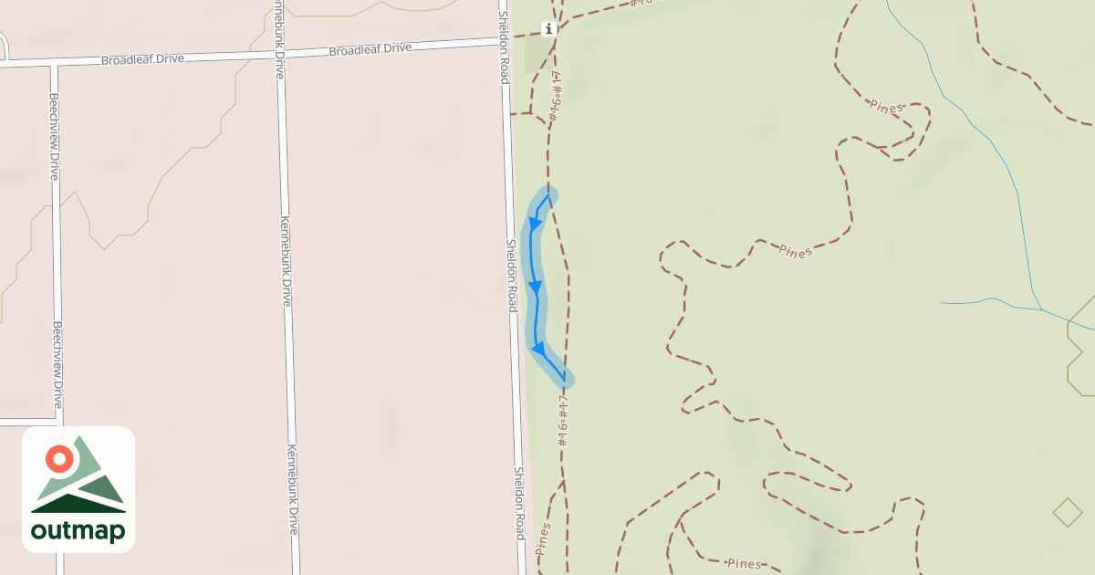 Map of Pines