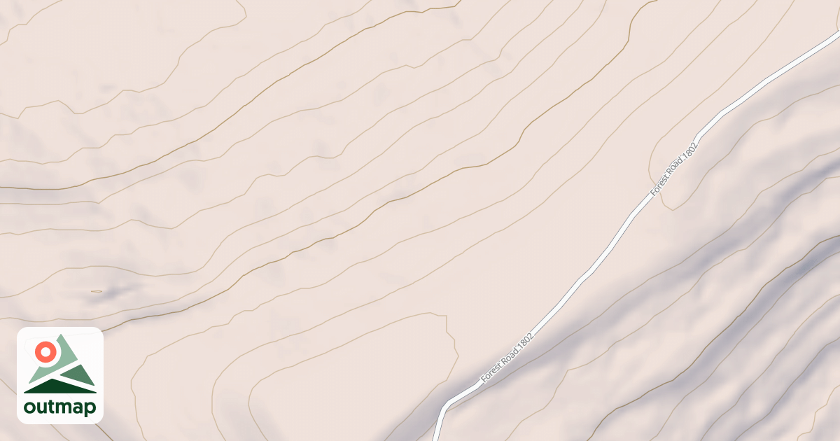 Map of USFS National Forest System Roads {6FA68814-592A-497F-9324-D32D1A698CAE}