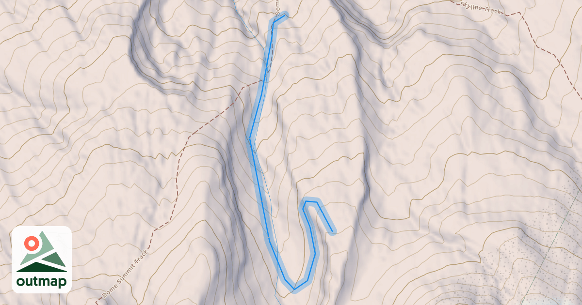 Map of The Gut