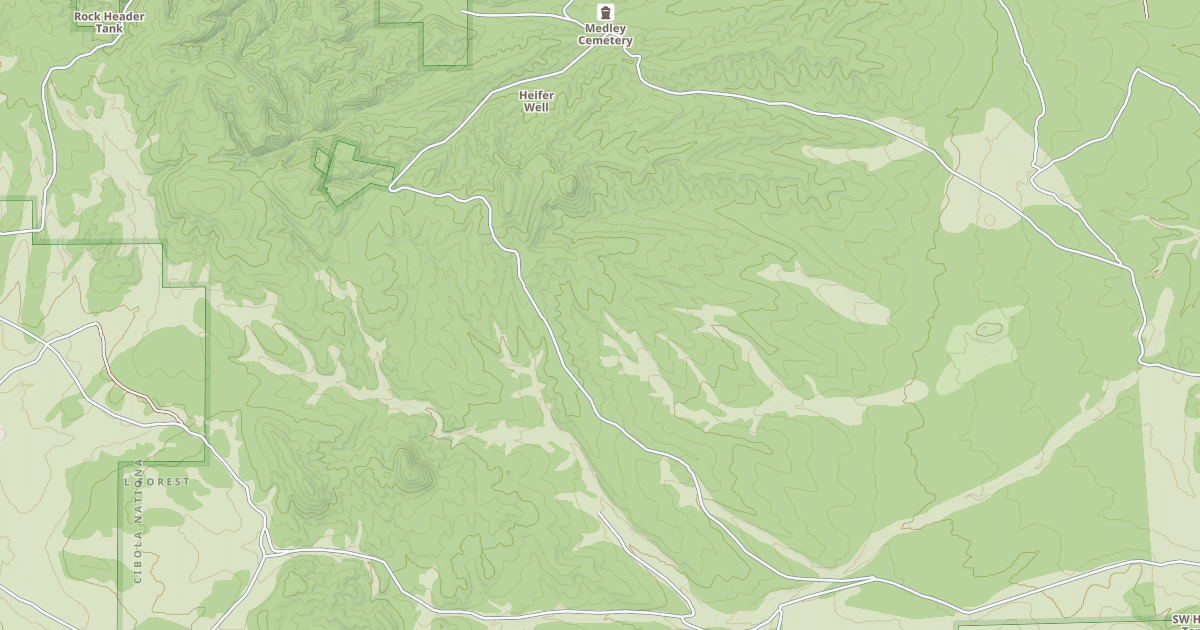 Map preview of USFS National Forest System Roads {E513A282-8A01-4FD3-9184-9FDF73A88AD7}