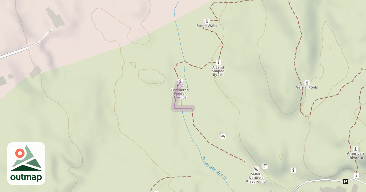 Map of Where in the Woods #7
